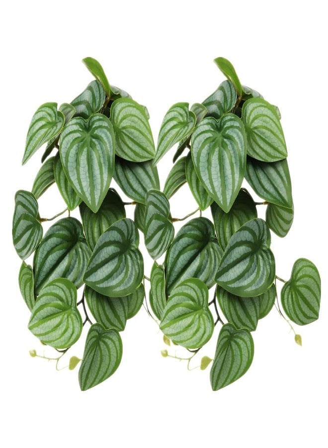 WOLEDOE 2Pack Reptile Fake Plants for Terrarium, Snake Tank Accessories, Habitat Decor Artificial Hanging Plants with Suction Cup - Fake Calathea Orbifolia - Image 1